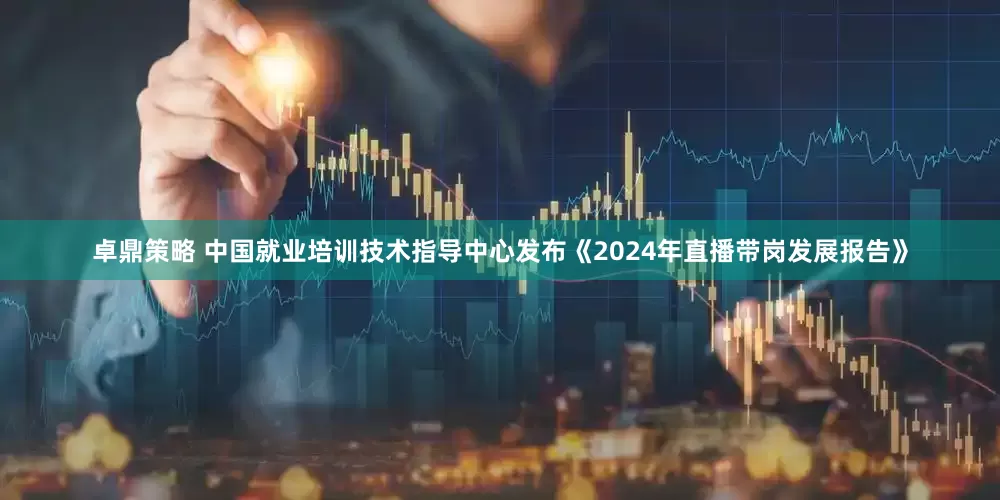 卓鼎策略 中国就业培训技术指导中心发布《2024年直播带岗发展报告》