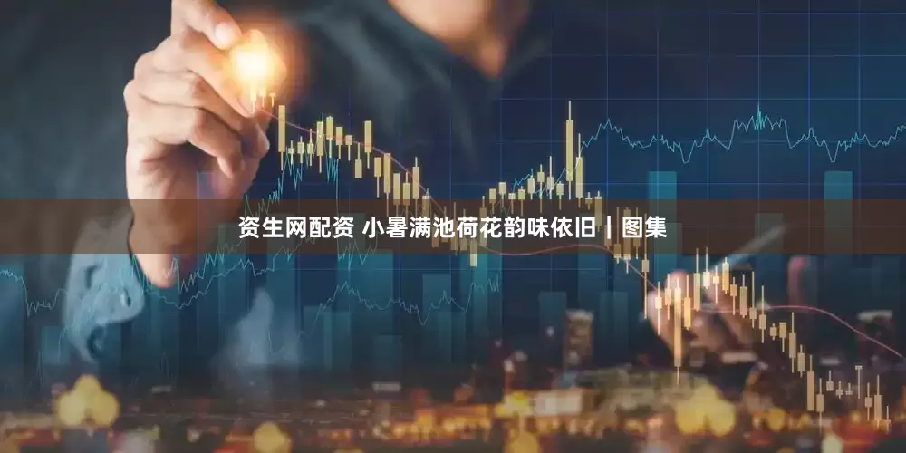 资生网配资 小暑满池荷花韵味依旧｜图集