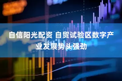 自信阳光配资 自贸试验区数字产业发展势头强劲