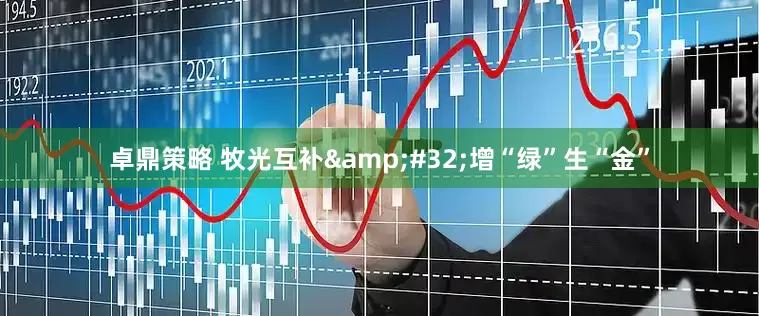 卓鼎策略 牧光互补&#32;增“绿”生“金”
