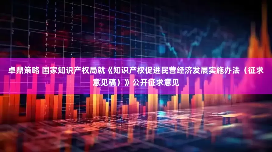 卓鼎策略 国家知识产权局就《知识产权促进民营经济发展实施办法（征求意见稿）》公开征求意见